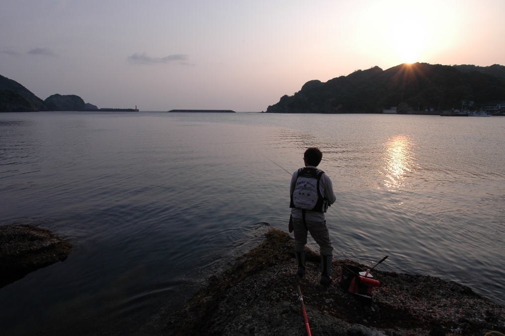 夜釣り入門】海面を照らすと魚が散る？大型が釣れるって本当？釣果を